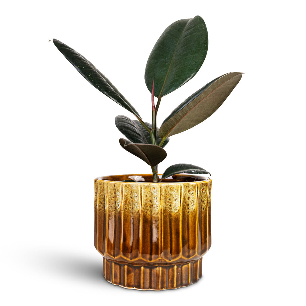 Faye Plant Pot - Savannah