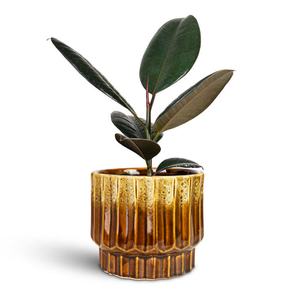 Faye Plant Pot - Savannah