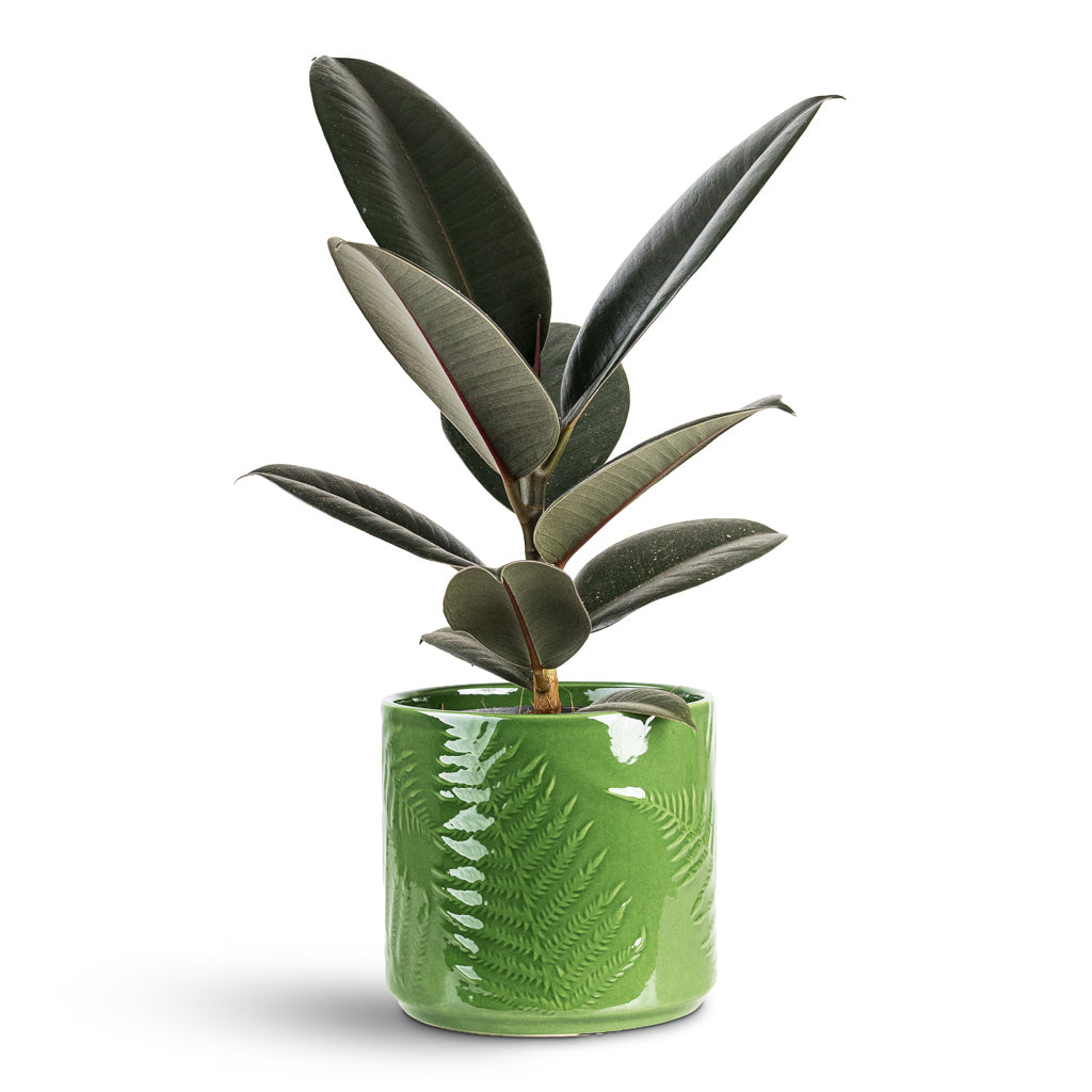 Orla Fern Plant Pot - Emerald