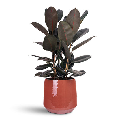 Common Plant Pot - Shiny Brick