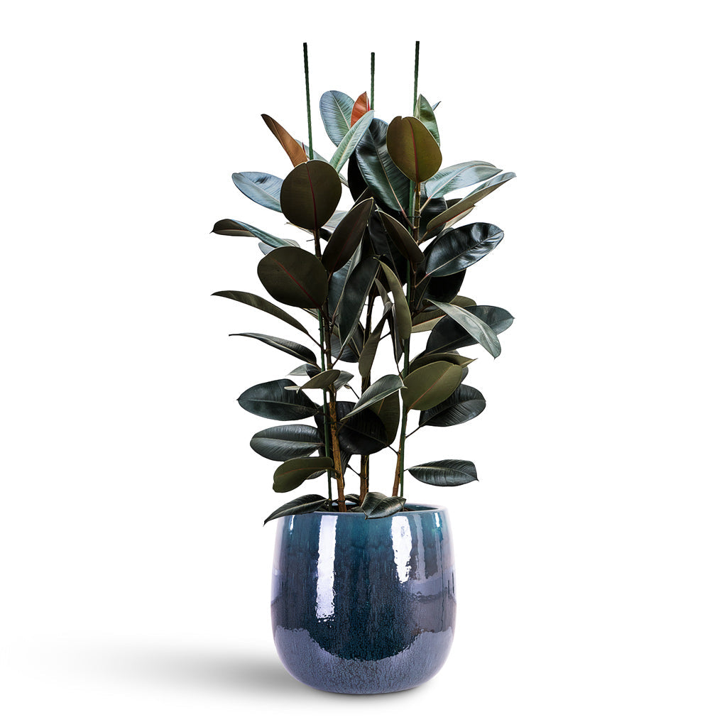 Aura Balloon Planter - Ocean Blue