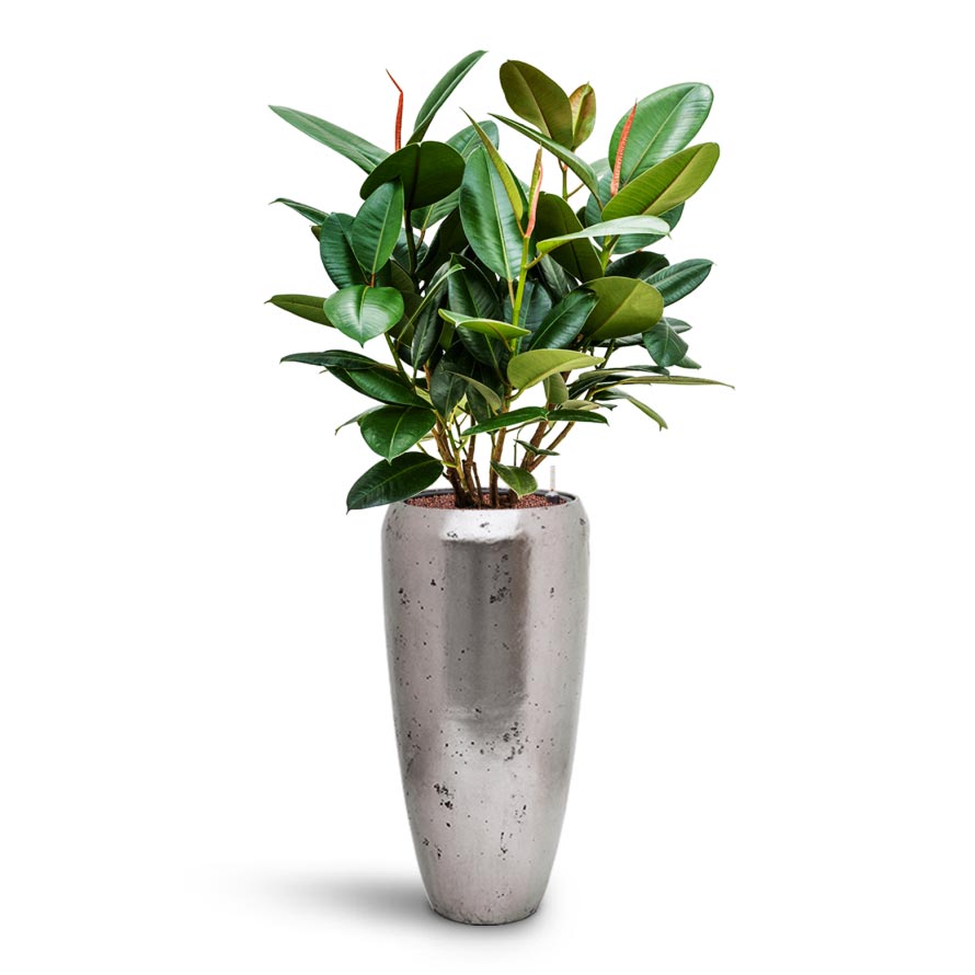 Opus Raw Partner Planter - Large Plant Display