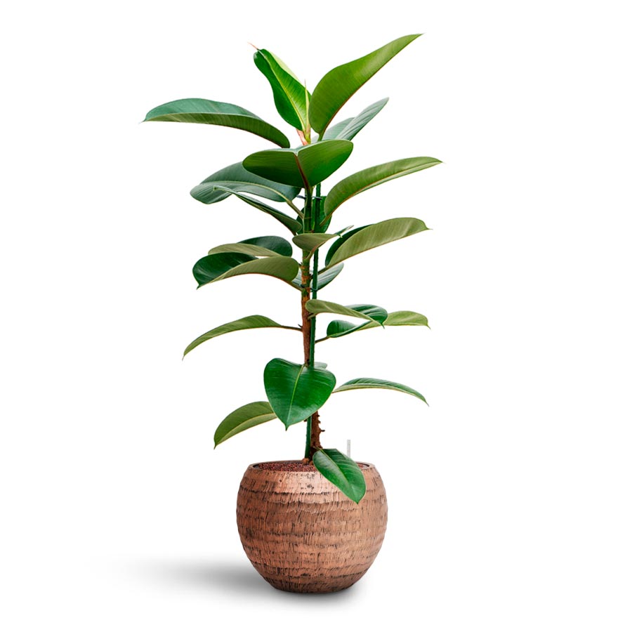 Opus Hammered Globe Planter - XL Plant Display