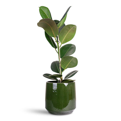 Common Plant Pot - Shiny Emerald