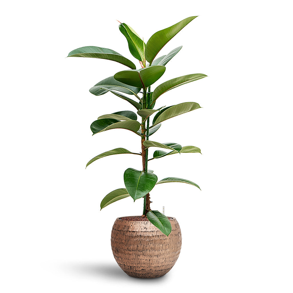 Opus Hammered Globe Planter - XL Plant Display
