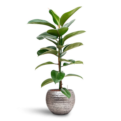 Opus Hammered Globe Planter - XL Plant Display