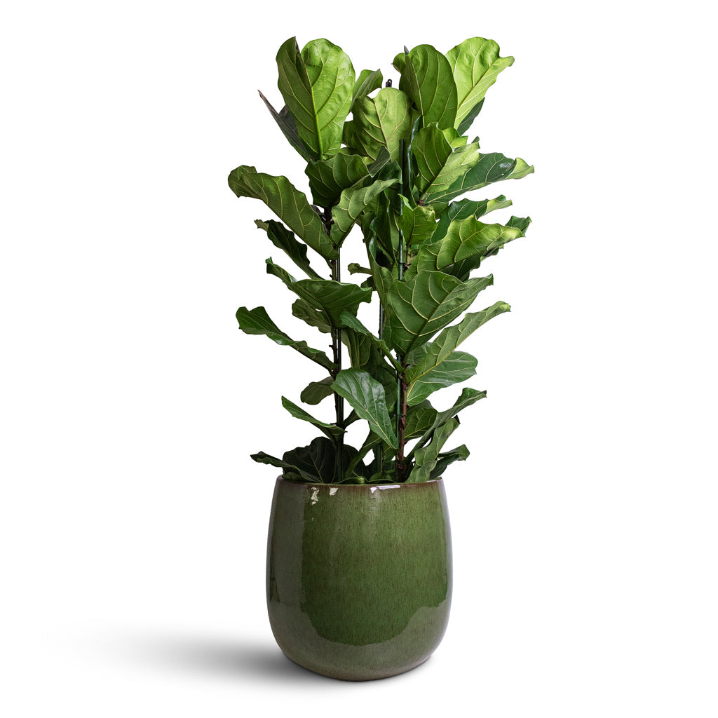 Aura Balloon Planter - Green