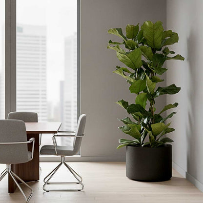 Grigio Cylinder Planter - Large Plant Display