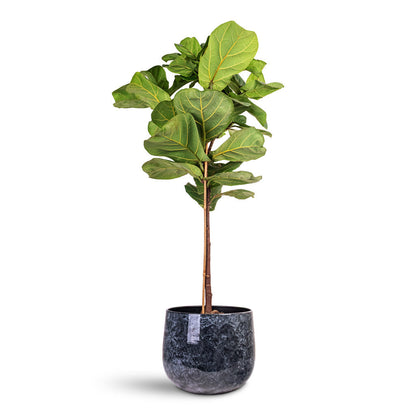 Emmie Metal Plant Pot - Mystic Blue