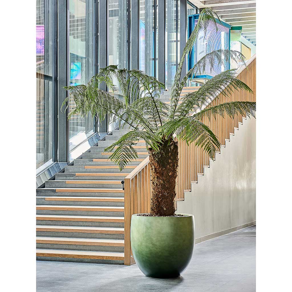 Gradient Balloon Planter - XL Plant Display