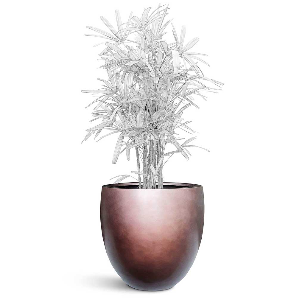 Gradient Balloon Planter - XL Plant Display