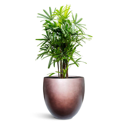 Gradient Balloon Planter - Large Plant Display