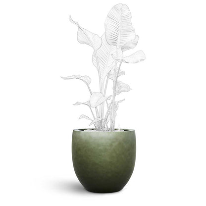 Gradient Balloon Planter - XL Plant Display