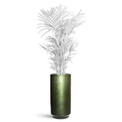 Gradient Cylinder Planter - XL Plant Display