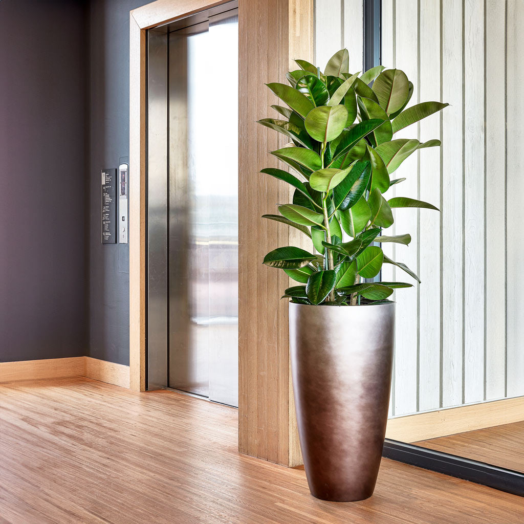 Gradient Partner Planter - XL Plant Display