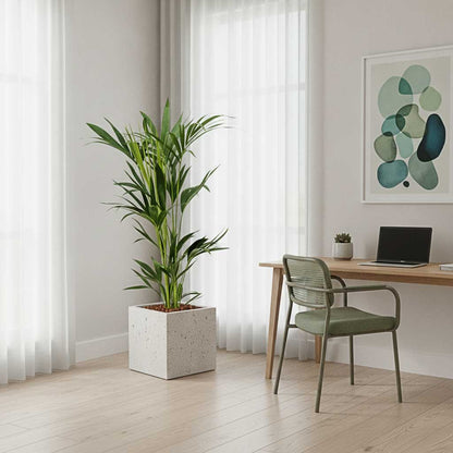 Grigio Cube Planter  - XL Plant Display