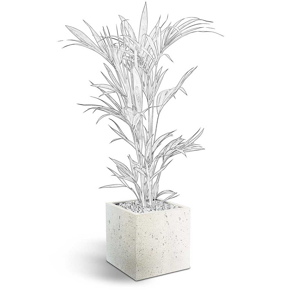 Grigio Cube Planter  - XL Plant Display