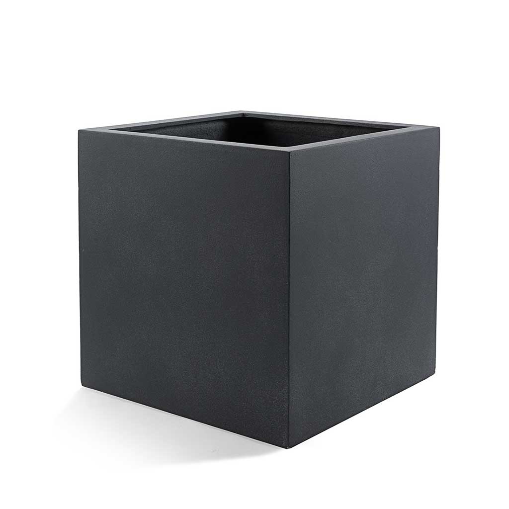 Grigio Cube Planter  - XL Plant Display