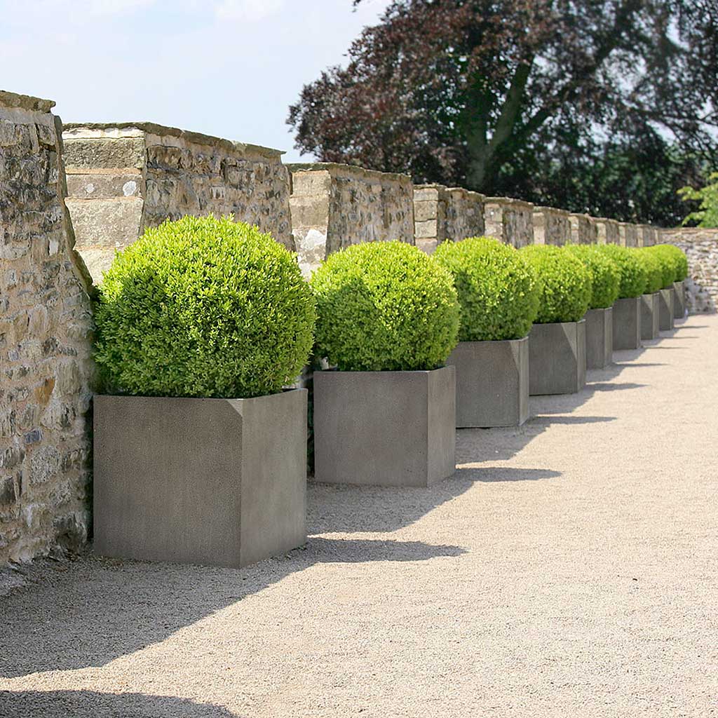 Grigio Cube Planter  - Large Plant Display