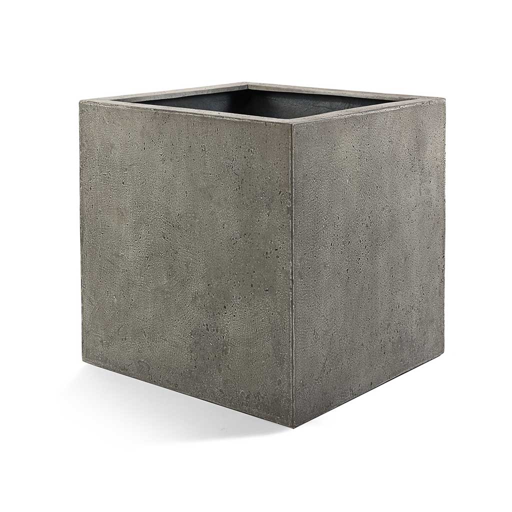 Grigio Cube Planter  - Large Plant Display