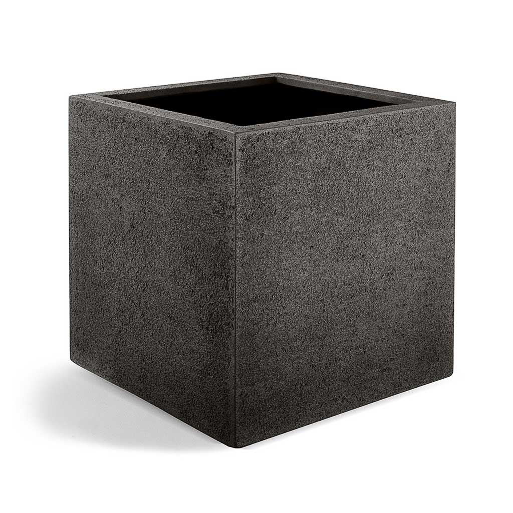 Grigio Cube Planter  - XL Plant Display
