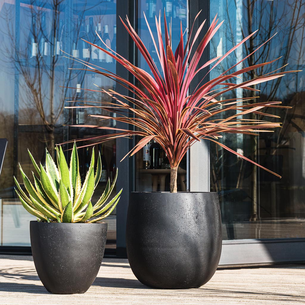 Grigio Egg Pot - Large Plant Display