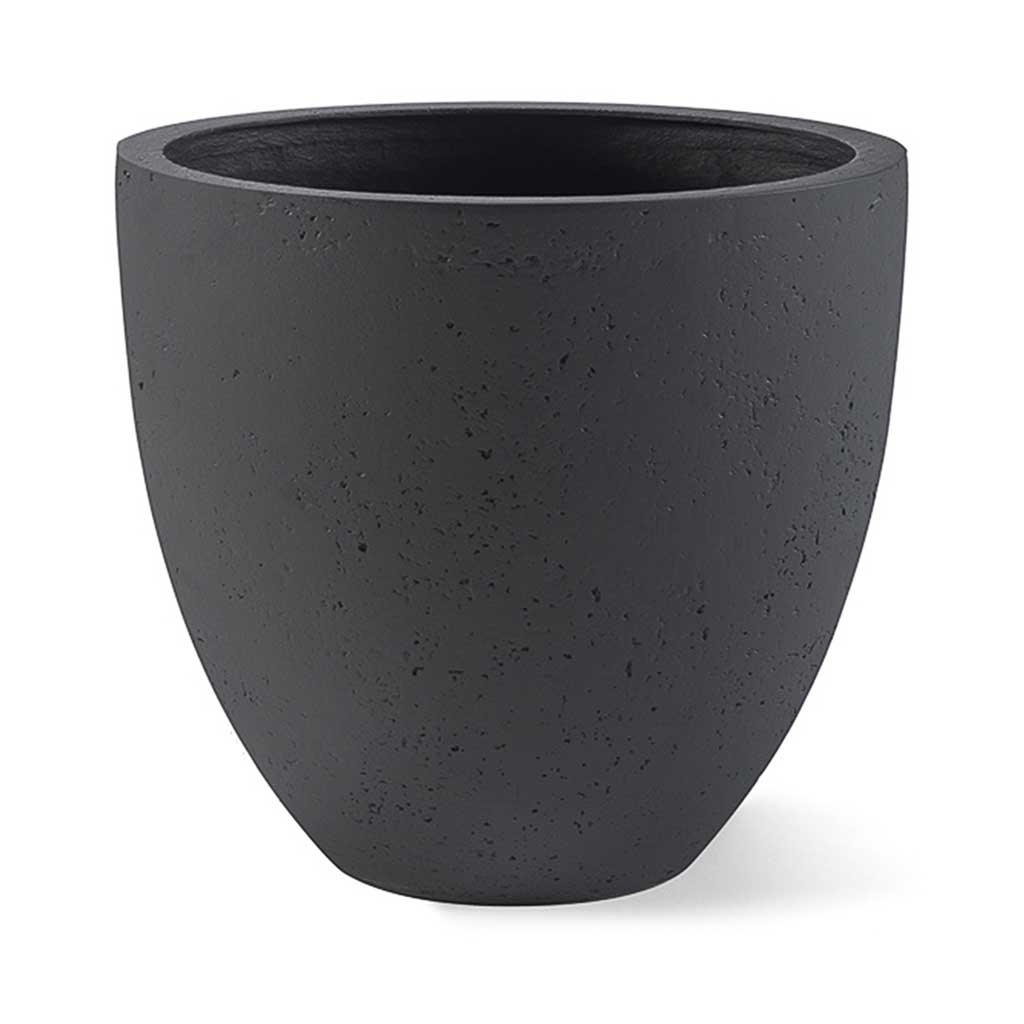 Grigio Egg Pot - Large Plant Display