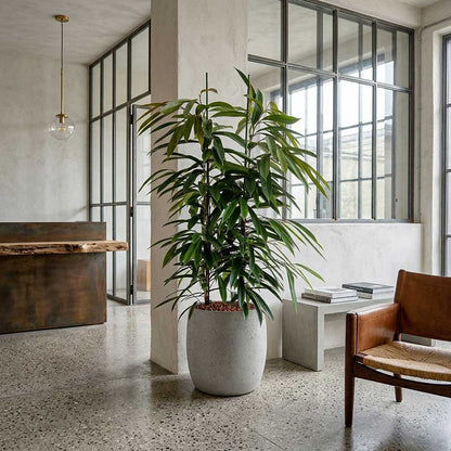 Grigio Modern Planter - Large Plant Display