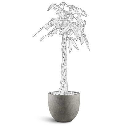 Grigio New Egg Pot - Large Plant Display