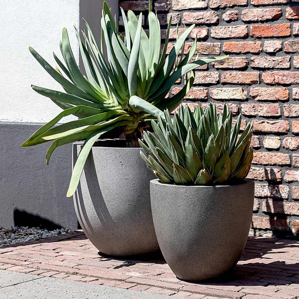 Grigio New Egg Pot - Large Plant Display