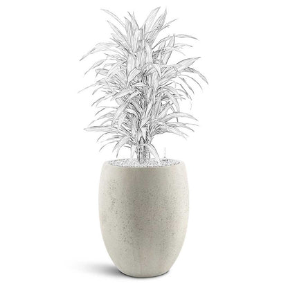 Grigio Tall Balloon - Large Plant Display