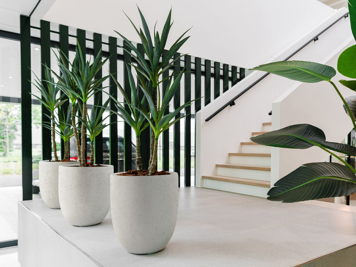 Grigio Tall Balloon - XL Plant Display
