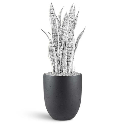 Grigio Tall Egg Pot - Large Plant Display