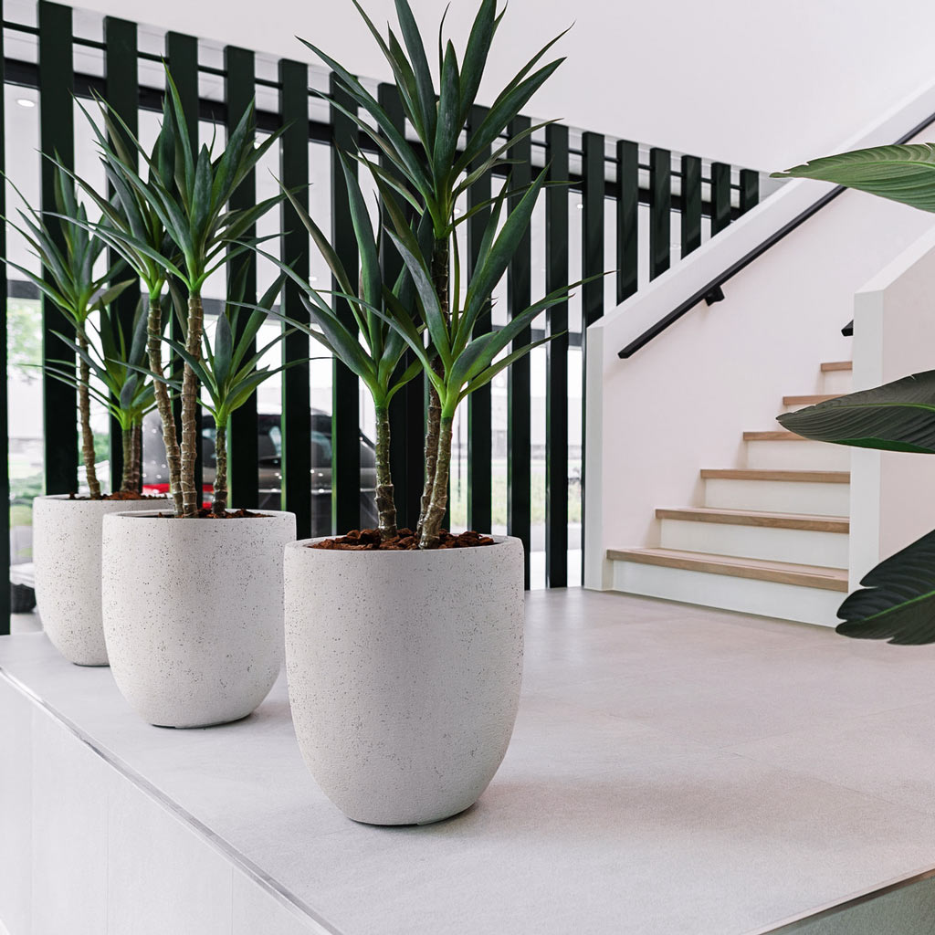 Grigio Tall Egg Pot - XL Plant Display