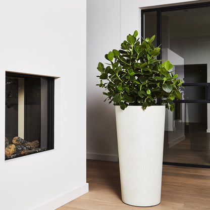 Grigio Tall Partner Planter - Large Plant Display