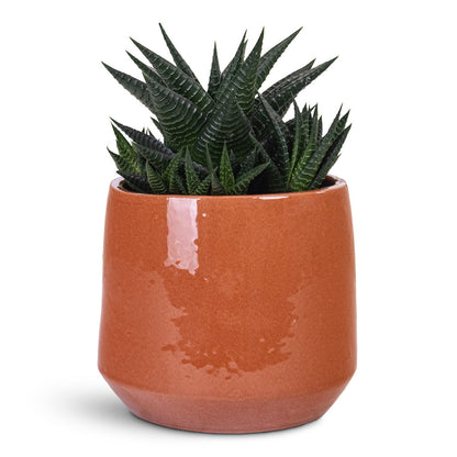 Common Plant Pot - Shiny Brick