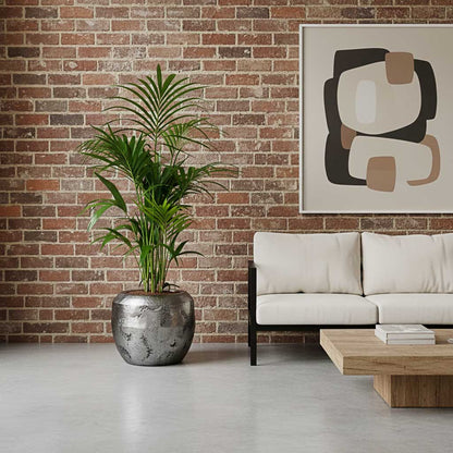 Opus Raw Couple Planter - Large Plant Display