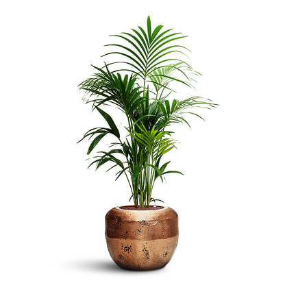 Opus Raw Couple Planter - XL Plant Display