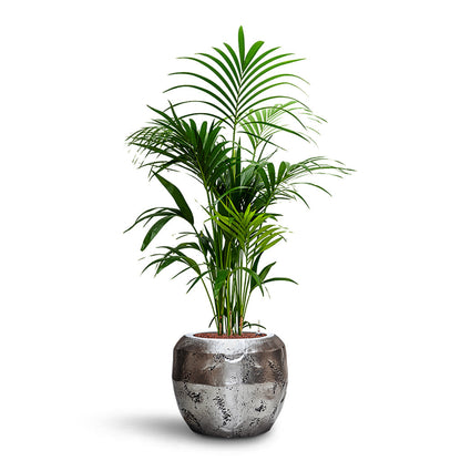 Opus Raw Couple Planter - XL Plant Display