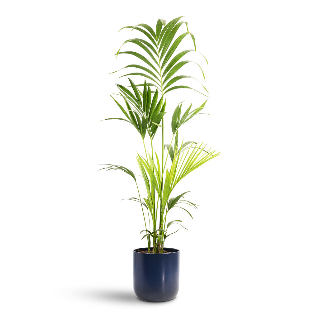 Lisbon Plant Pot - French Navy
