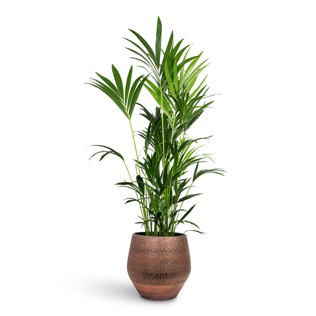Rafael Plant Pot - Copper