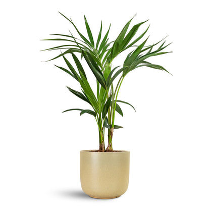 Nine Plant Pot - Concrete
