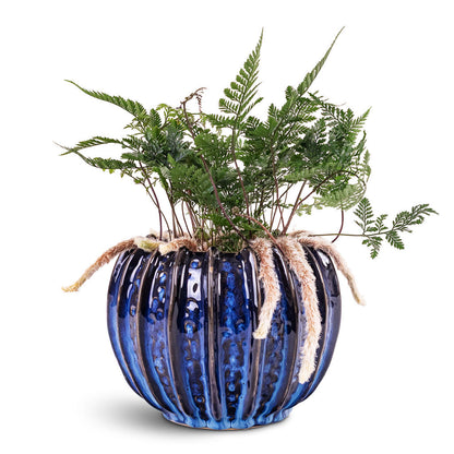 Cassie Plant Pot - Kobalt