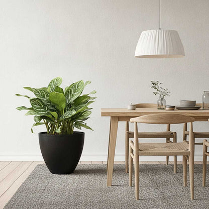 Jesslyn Natural Planter - Medium Plant Display