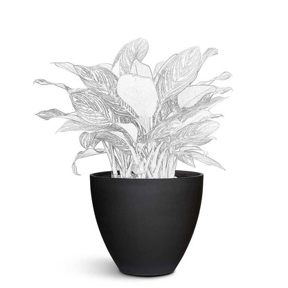 Jesslyn Natural Planter - Medium Plant Display