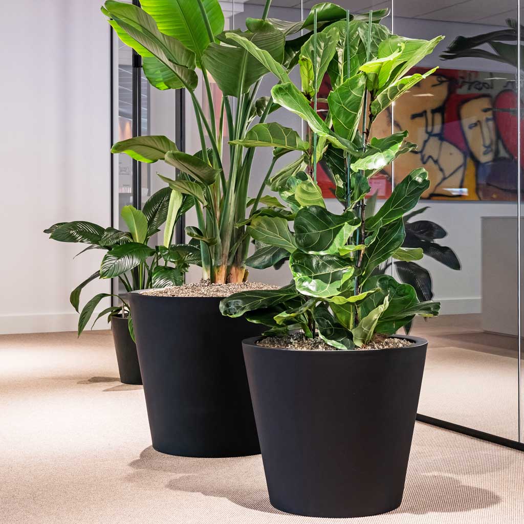 Bucket Natural Planter - XL Plant Display