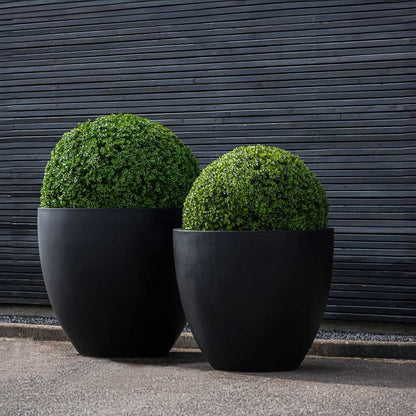 Jesslyn Natural Planter - XL Plant Display