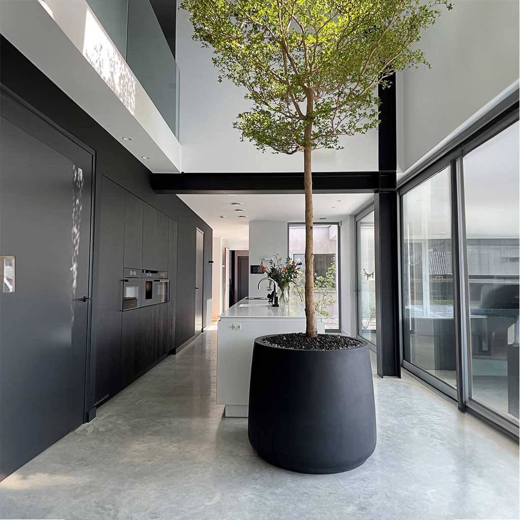 Patt Natural Planter - Large Plant Display