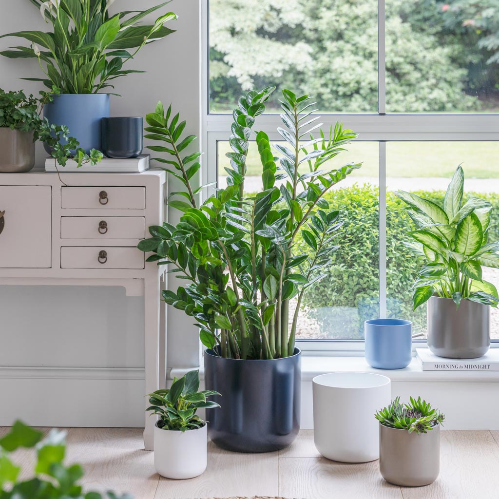 Lisbon Plant Pot - French Navy
