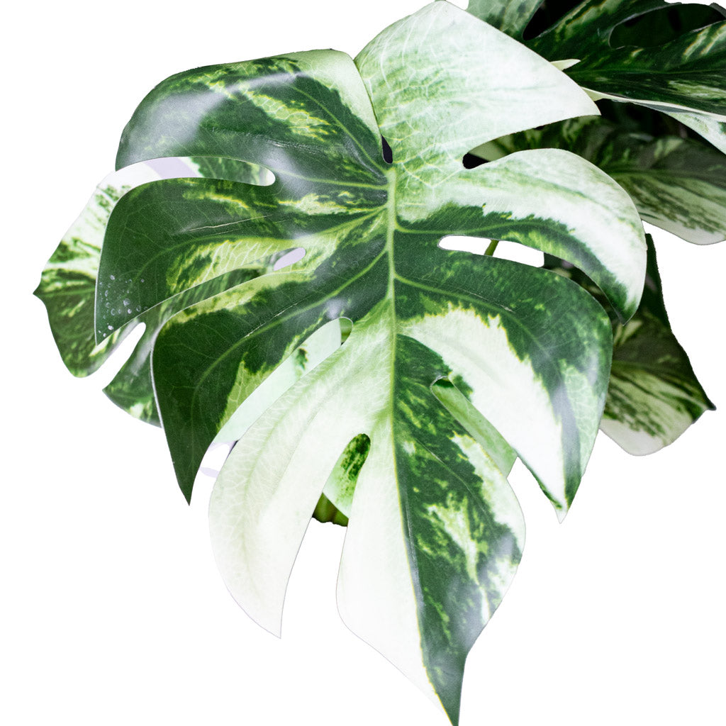 Monstera Bush - Variegated Swiss Cheese Plant - Potted - Artificial
